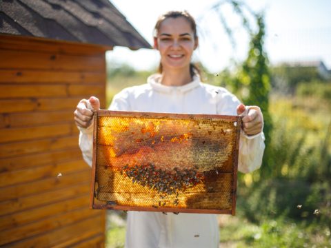 Adotta un alveare: i progetti per salvare le api e rendere migliore il nostro futuro