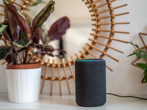 Come personalizzare le risposte di Alexa