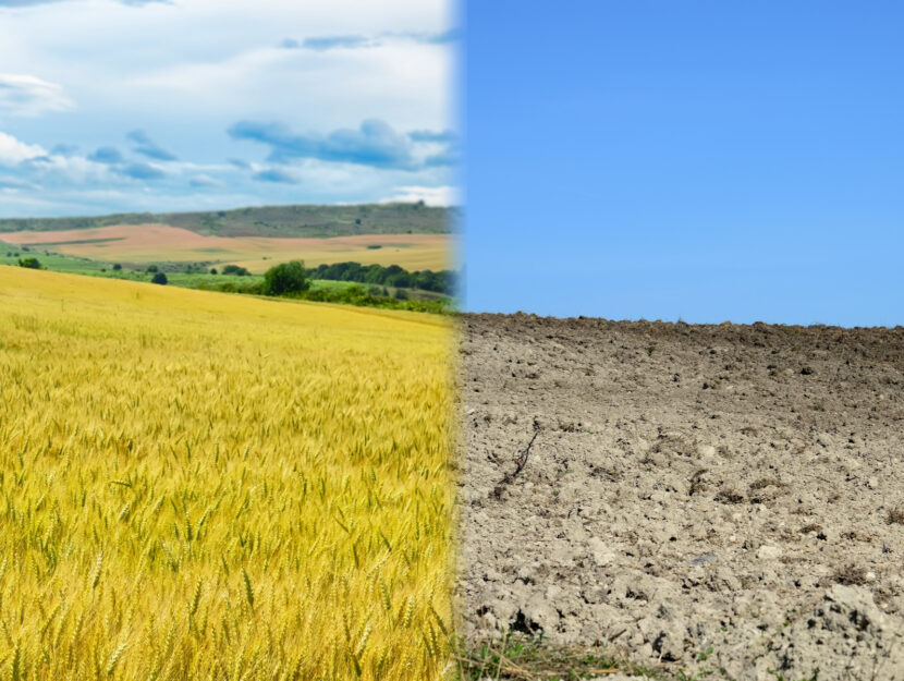 cibo e cambiamento climatico