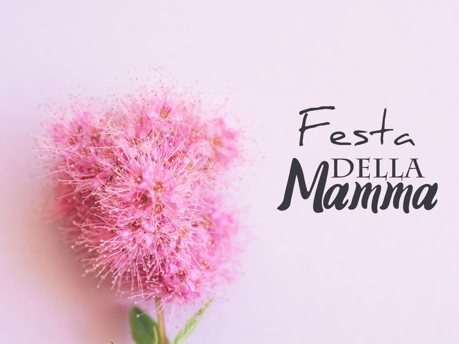 Festa della Mamma 2022: regali e tante idee per festeggiare