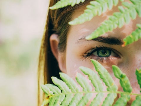 Passeggiare nel bosco aiuta le tue difese immunitarie