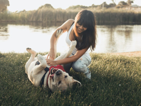 10 errori da evitare quando porti il tuo cane a passeggio