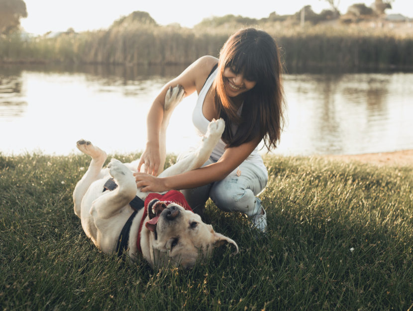 come portare a passeggio il cane