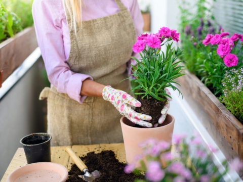 21 marzo, equinozio di primavera: 5 rituali di benessere per questa giornata speciale