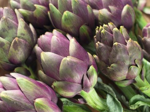 I carciofi fanno bene al microbiota