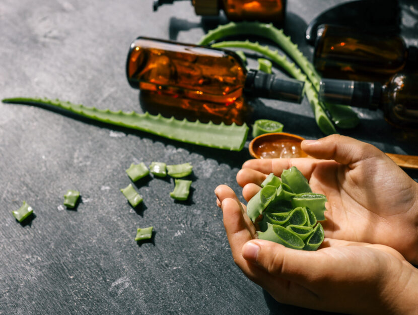 Come usare l'aloe vera per la tua bellezza
