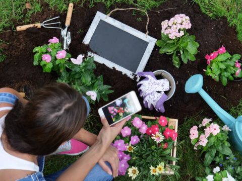 10 app che ti aiutano a curare le tue piante