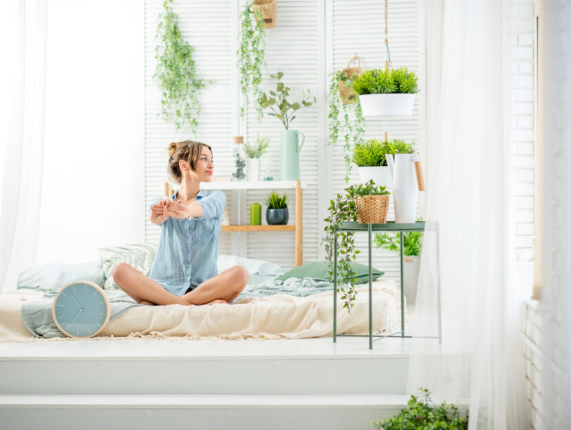 10 piante per la camera da letto che ti faranno riposare in maniera più sana