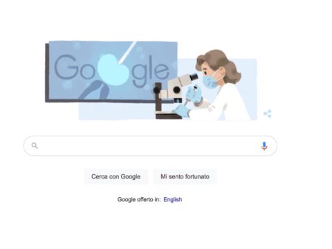 Google dedica un Doodle ad Anne McLaren: chi era la genetista che ha fatto la storia