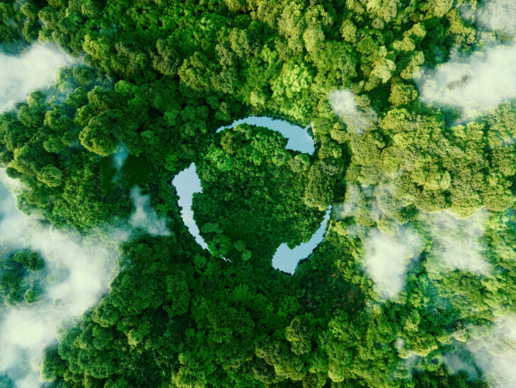 10 piccoli gesti ecologici che tutti possiamo fare