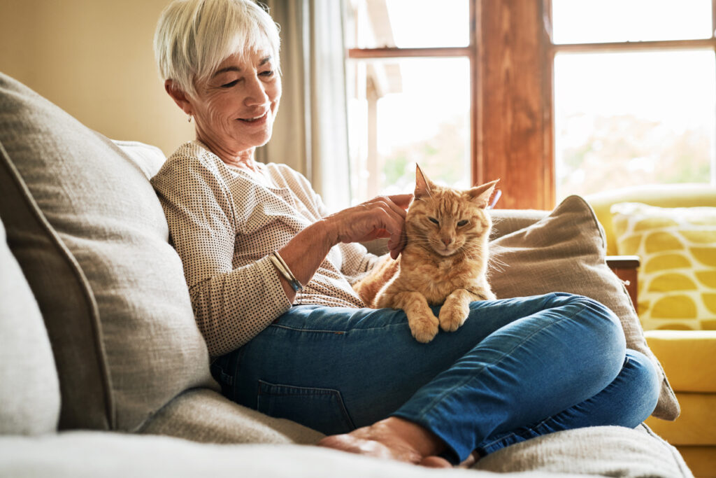 10 modi per mantenere pulita la tua casa anche se hai un cane o un gatto