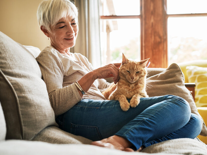 10 modi per mantenere pulita la tua casa anche se hai un cane o un gatto