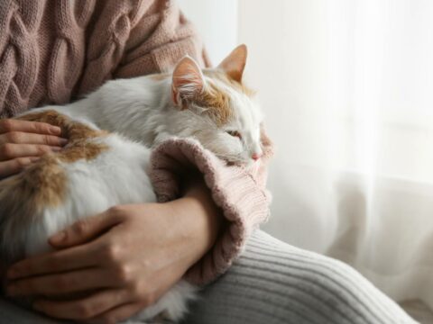 10 modi in cui il tuo gatto ti fa capire che ti ama davvero