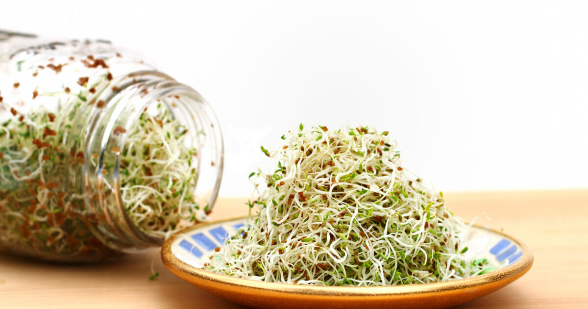 Germogliare Le Lenticchie Verdi In Barattolo Fotografia Stock - Immagine Di Isolato, Lenticchie - Foto 11