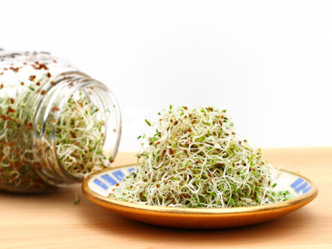 Coltivare l’insalata e i germogli in barattolo: ecco come fare