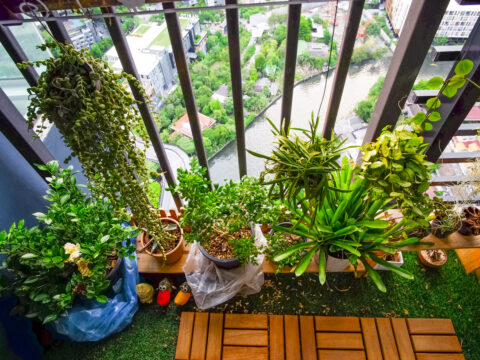Green life: l’orto in balcone è quel che serve per una vita più leggera (e sana)