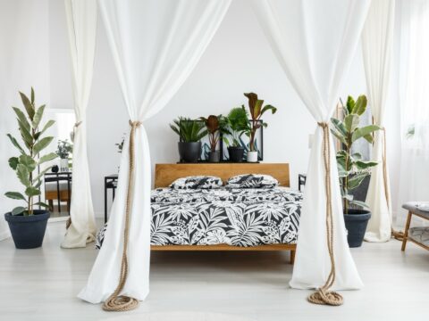 10 piante per la camera da letto che ti faranno riposare in maniera più sana