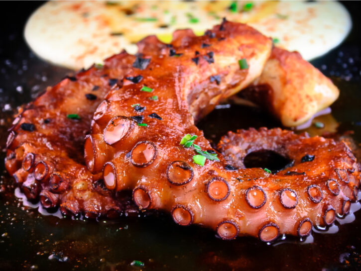 Come cucinare il polpo: la guida e tutte le ricette più sfiziose
