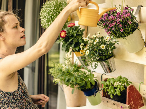 Come creare un orto sul tuo balcone