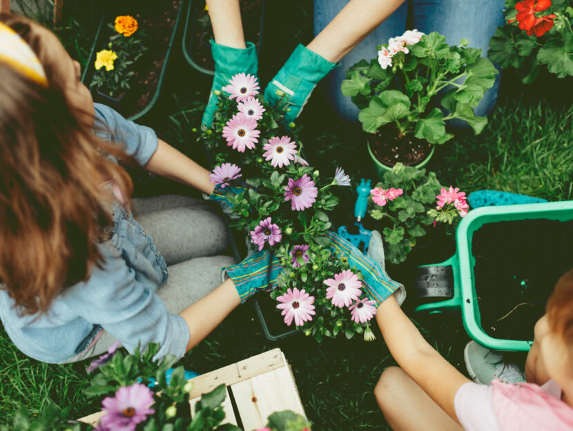 I lavori di maggio in giardino e sul balcone