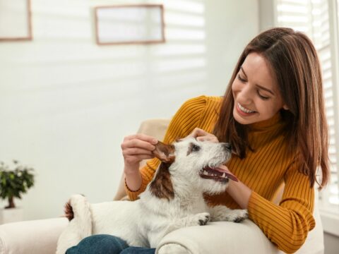 5 cose che ti faranno capire che il tuo cane ti ha scelta e ti amerà per sempre