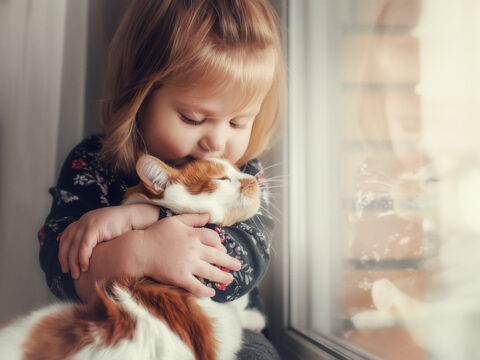 Bambini e gatti, le regole per una perfetta amicizia