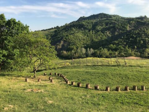 Nel verde, al respiro degli alberi: tre rassegne tra arte e natura