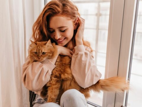5 attività rilassanti che puoi fare con il tuo gatto (migliorando il vostro legame)