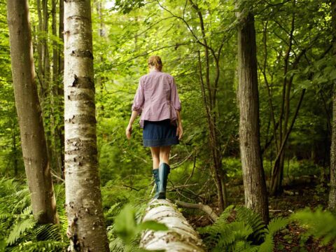 5 esperienze da fare nei boschi per vivere una vacanza indimenticabile