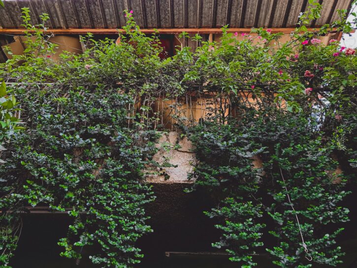 Come realizzare un giardino pensile sopra il garage