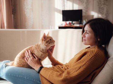 5 comportamenti strani del gatto che sono dimostrazioni d'affetto