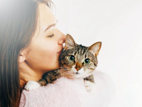 5 gesti inspiegabili dei gatti che sono in realtà una richiesta d'attenzioni