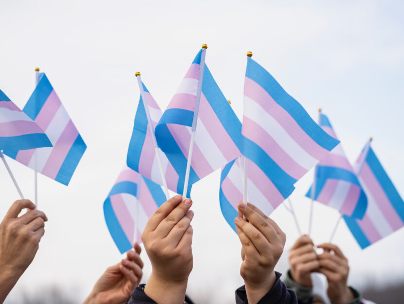 La bandiera per i diritti delle persone trans