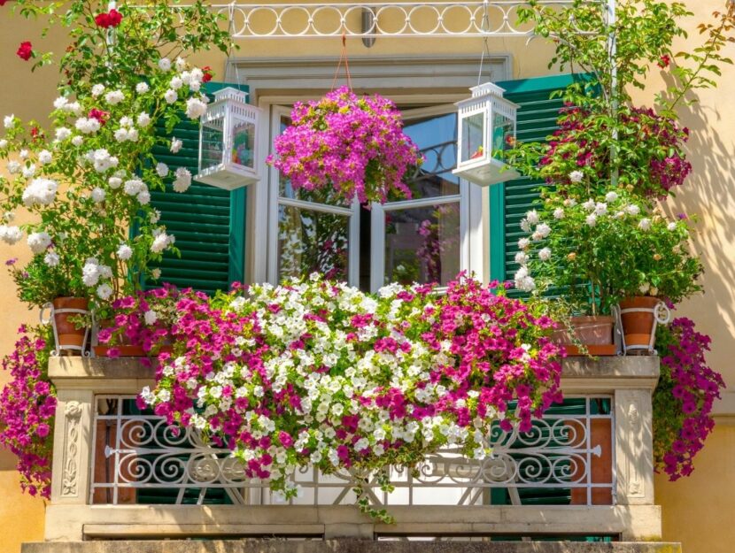balcone in fiore