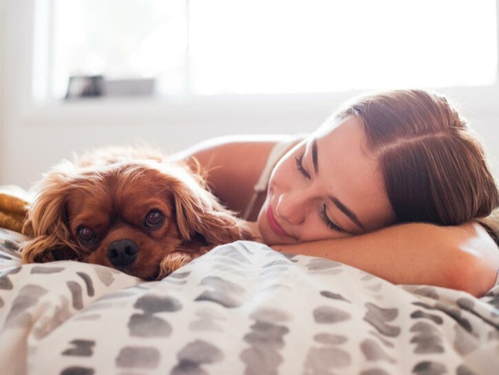 Come capire se un cane è adatto a te, in base alla tua personalità