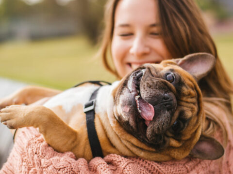 10 motivi per cui dovresti portare il tuo cane in vacanza con te