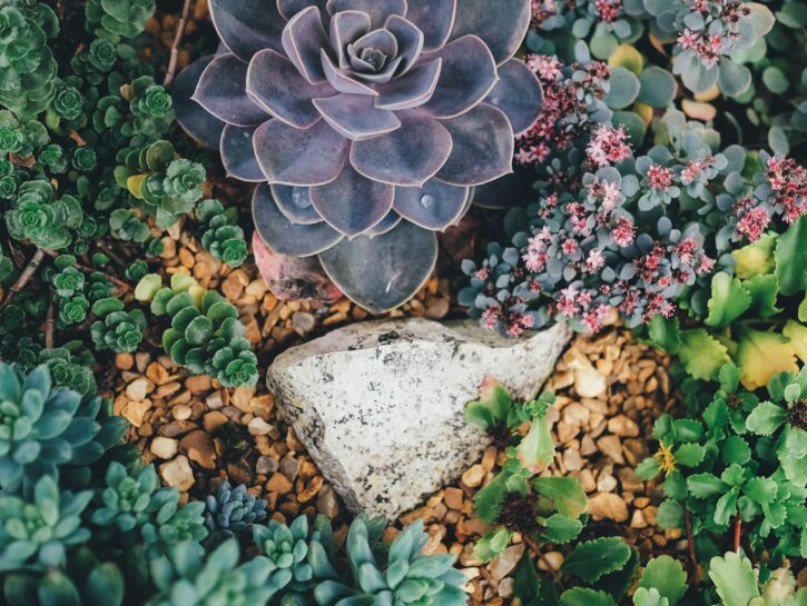 Come arredare il giardino con le pietre