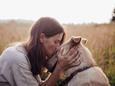 5 modi in cui il tuo cane ti aiuta quando sei in difficoltà, senza che tu te ne accorga