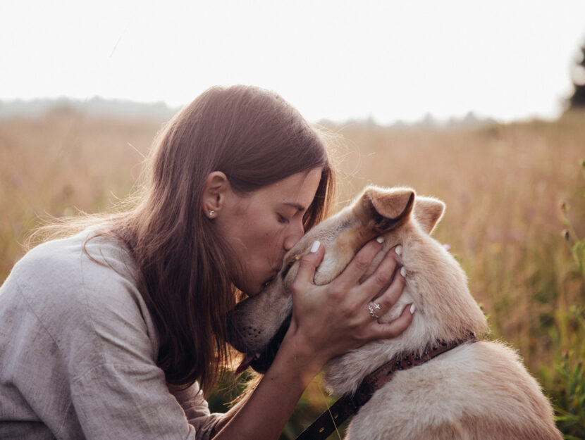 il tuo cane