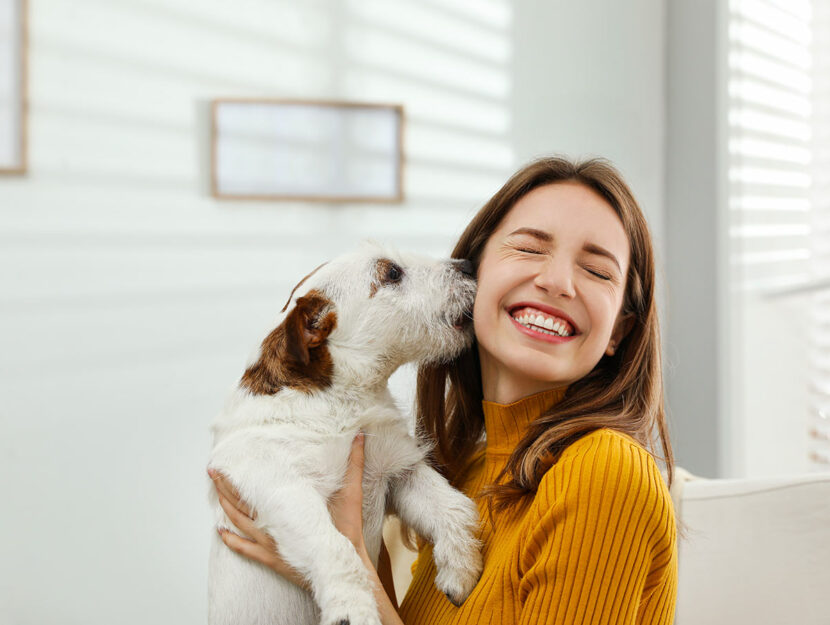 cose che puoi insegnare al tuo cucciolo