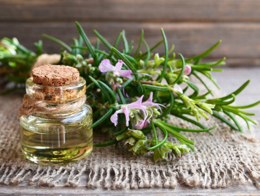 Olio essenziale di rosmarino per pelle e capelli - Donna Moderna