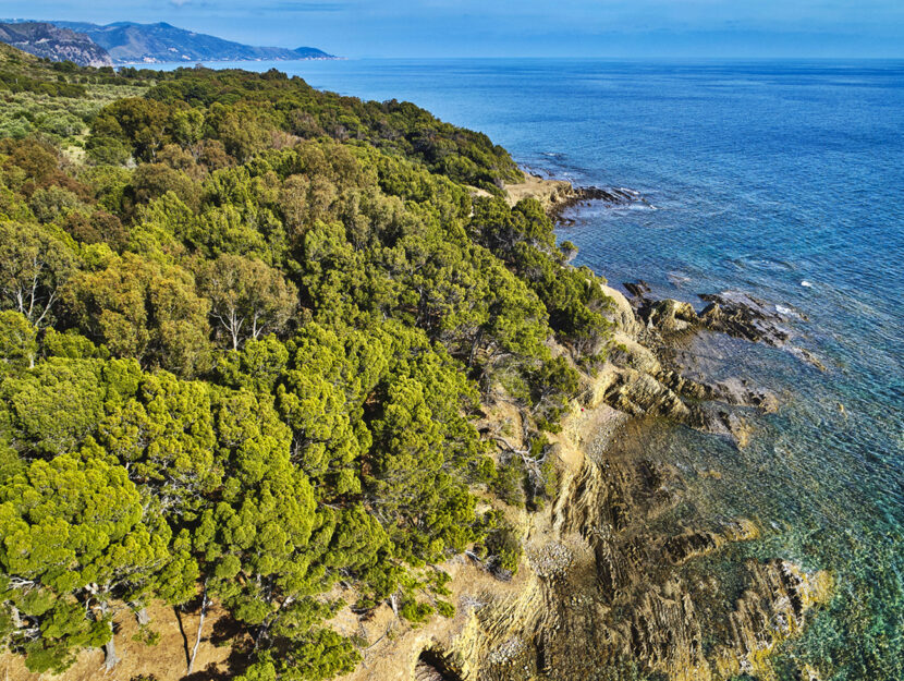 Cilento Campania Punta Licosa