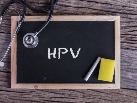 HPV: più protetta se il microbiota è in equilibrio