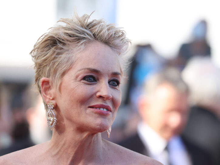 Sharon Stone e la morte del nipotino River per Mods