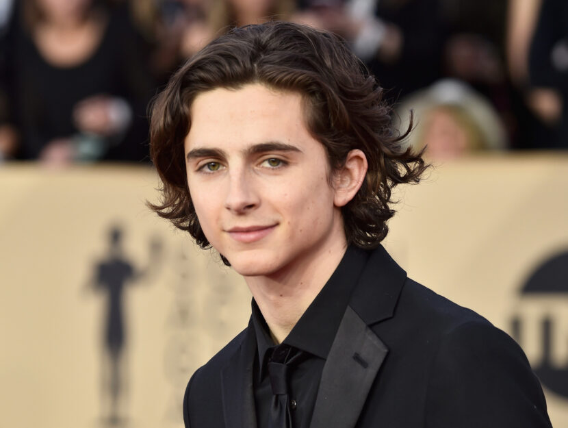 Timothée Chalamet 2018