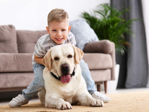 Il cane, un amico speciale per i bambini autistici