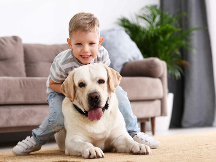 Le 10 razze di cani più adatte ai bambini