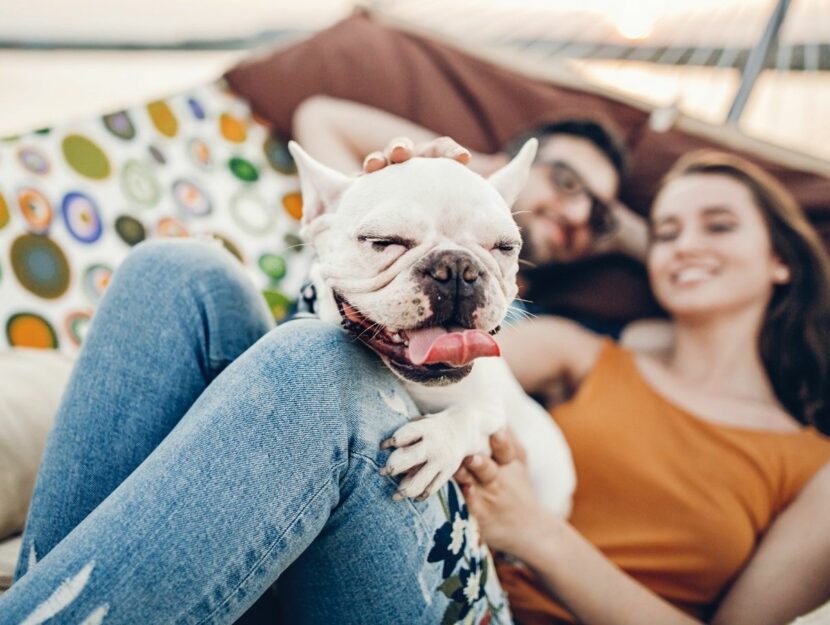 cane felice insieme ai padroni