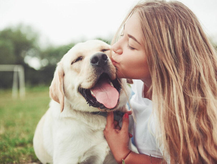 Fiducia del cane