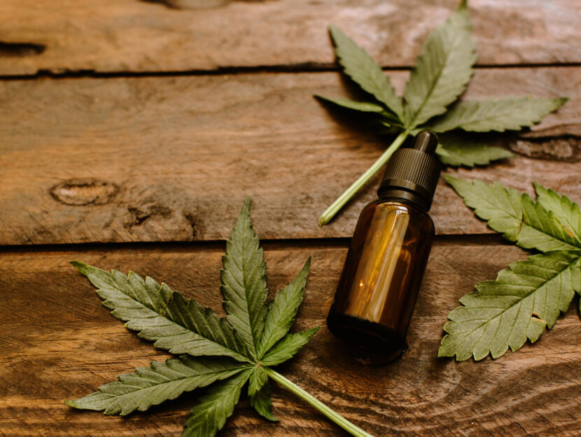 Olio di cannabis foglie